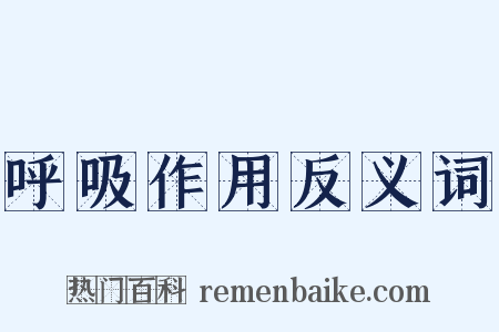呼吸作用反义词是什么意思的图片